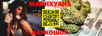 сатива Славгород