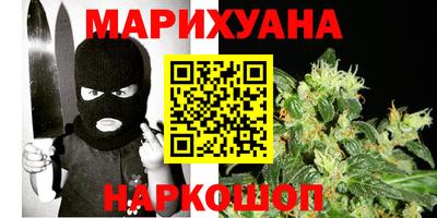 сатива Славгород