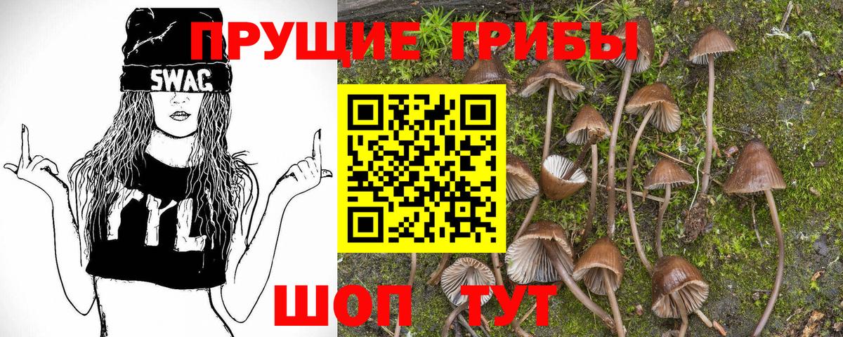 Галлюциногенные грибы Magic Shrooms Омск