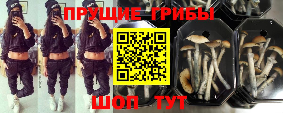 Галлюциногенные грибы Омск